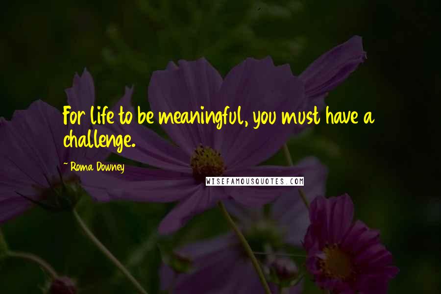 Roma Downey quotes: For life to be meaningful, you must have a challenge.