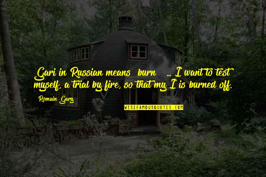 Romain Quotes By Romain Gary: Gari in Russian means "burn!" ... I want