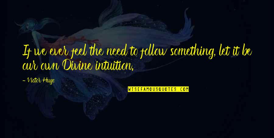 Romalio Teixeira Quotes By Victor Hugo: If we ever feel the need to follow