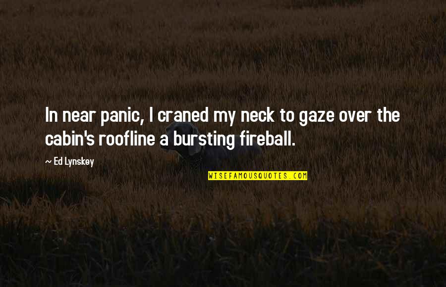 Romance Novel Quotes By Ed Lynskey: In near panic, I craned my neck to