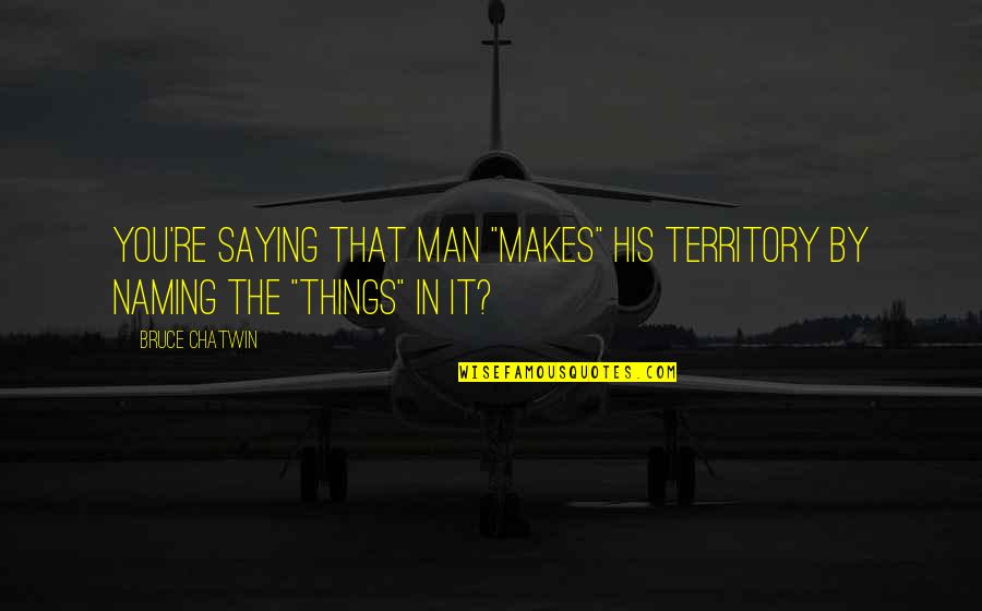 Romanovsky Quotes By Bruce Chatwin: You're saying that man "makes" his territory by
