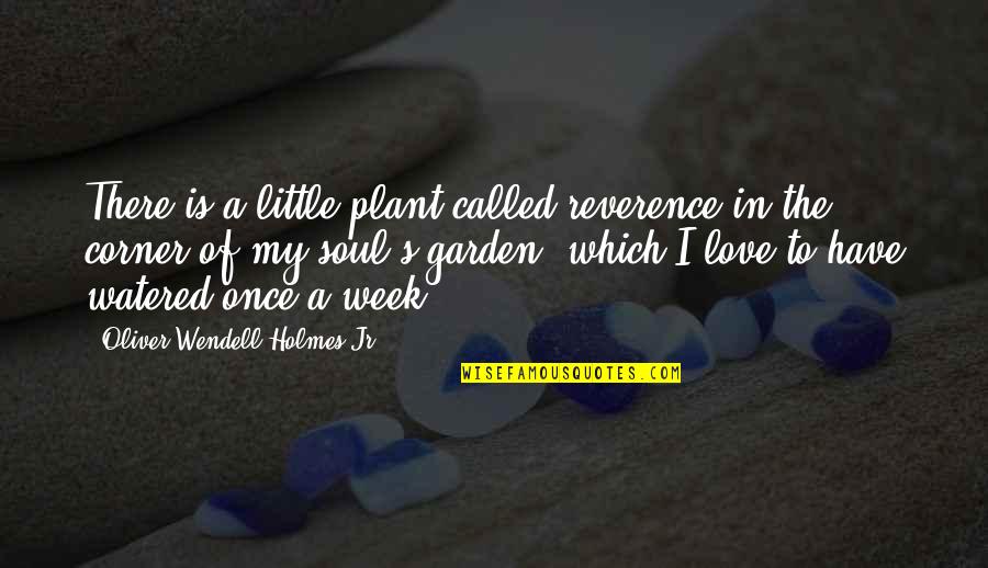 Romans 12 1 Quotes By Oliver Wendell Holmes Jr.: There is a little plant called reverence in