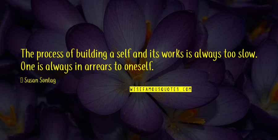 Romantic Raindrops Quotes By Susan Sontag: The process of building a self and its