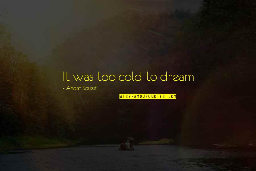 Romantic Simple Quotes By Ahdaf Soueif: It was too cold to dream Romantic Simple Quotes By Ahdaf Soueif: It was too cold to dream