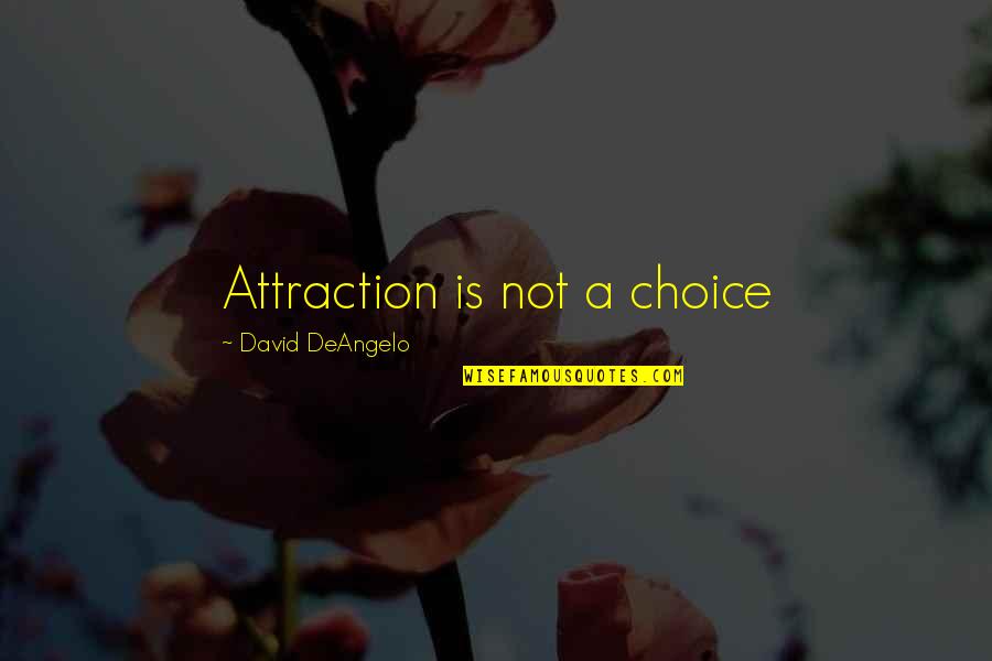 Romantic Take Me Back Quotes By David DeAngelo: Attraction is not a choice