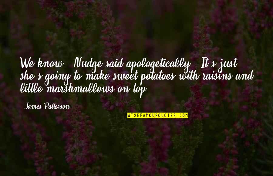 Romantic Vacations Quotes By James Patterson: We know," Nudge said apologetically. "It's just -