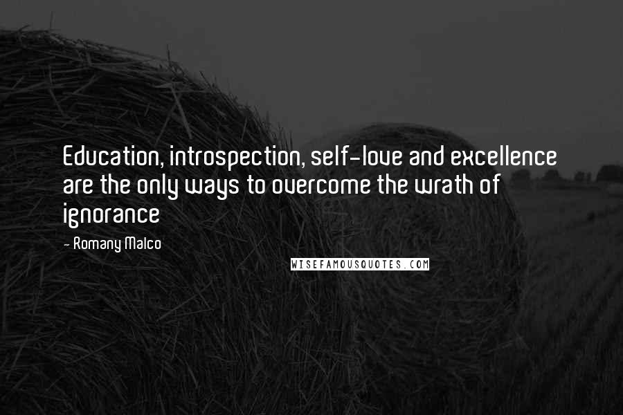 Romany Malco quotes: Education, introspection, self-love and excellence are the only ways to overcome the wrath of ignorance