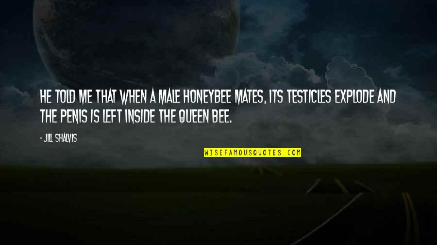 Romao Samusson Quotes By Jill Shalvis: He told me that when a male honeybee Romao Samusson Quotes By Jill Shalvis: He told me that when a male honeybee