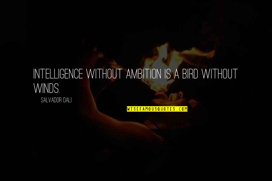 Romech Hot Quotes By Salvador Dali: Intelligence without ambition is a bird without winds. Romech Hot Quotes By Salvador Dali: Intelligence without ambition is a bird without winds.