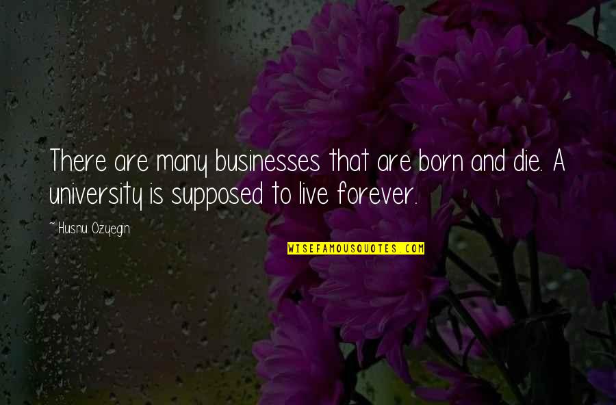 Romeo And Juliet Death Scene Quotes By Husnu Ozyegin: There are many businesses that are born and Romeo And Juliet Death Scene Quotes By Husnu Ozyegin: There are many businesses that are born and