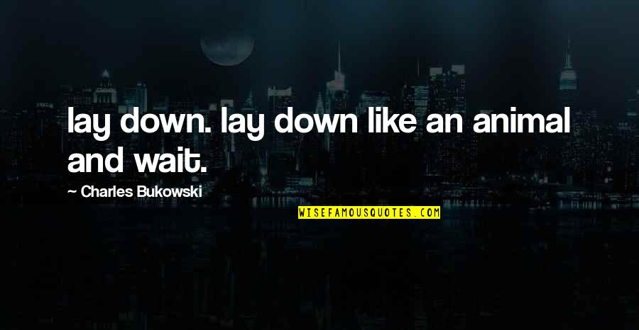 Romeo And Juliet Immature Quotes By Charles Bukowski: lay down. lay down like an animal and