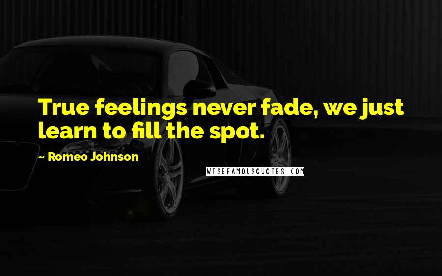 Romeo Johnson quotes: True feelings never fade, we just learn to fill the spot.