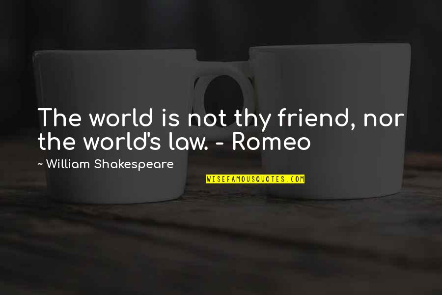 Romeo Quotes By William Shakespeare: The world is not thy friend, nor the