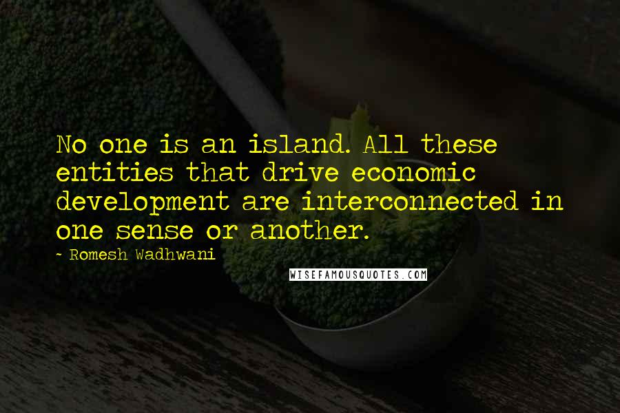 Romesh Wadhwani quotes: No one is an island. All these entities that drive economic development are interconnected in one sense or another.