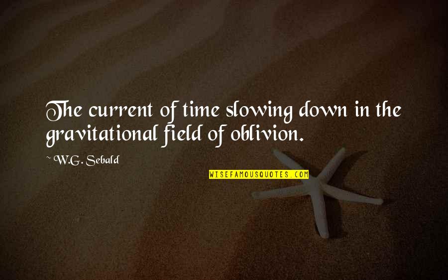 Romsey World Quotes By W.G. Sebald: The current of time slowing down in the