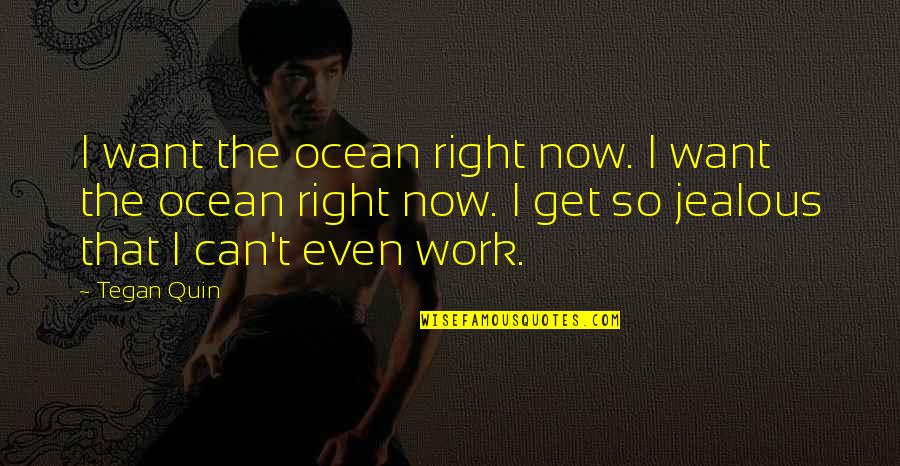 Romualdo De Jesus Quotes By Tegan Quin: I want the ocean right now. I want