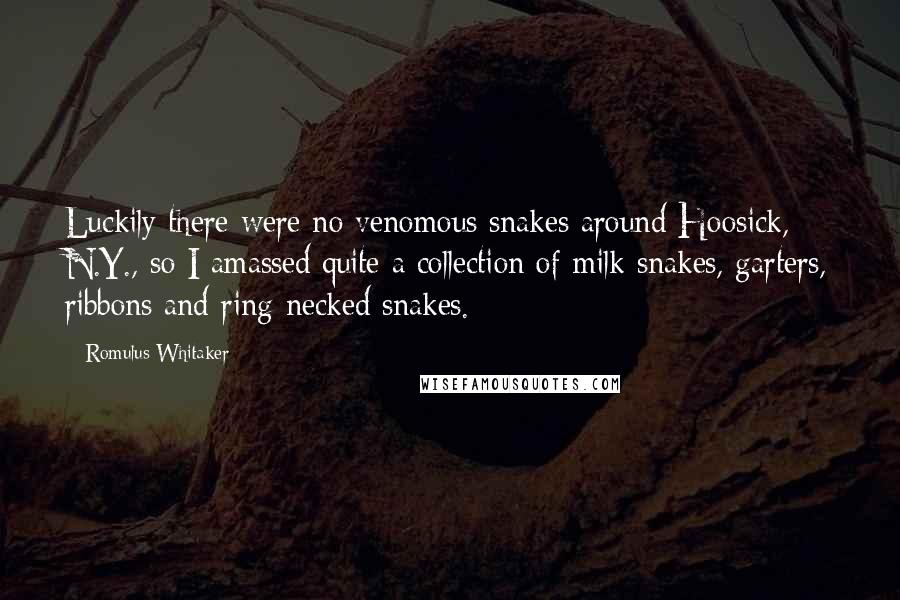Romulus Whitaker quotes: Luckily there were no venomous snakes around Hoosick, N.Y., so I amassed quite a collection of milk snakes, garters, ribbons and ring-necked snakes.