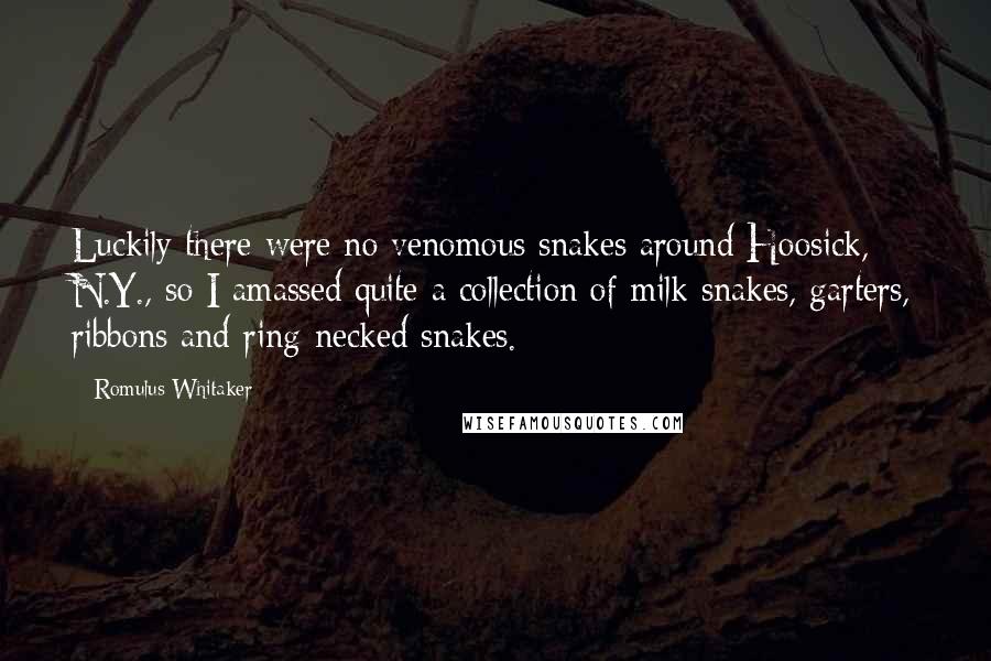 Romulus Whitaker quotes: Luckily there were no venomous snakes around Hoosick, N.Y., so I amassed quite a collection of milk snakes, garters, ribbons and ring-necked snakes. Romulus Whitaker quotes: Luckily there were no venomous snakes around Hoosick, N.Y., so I amassed quite a collection of milk snakes, garters, ribbons and ring-necked snakes.