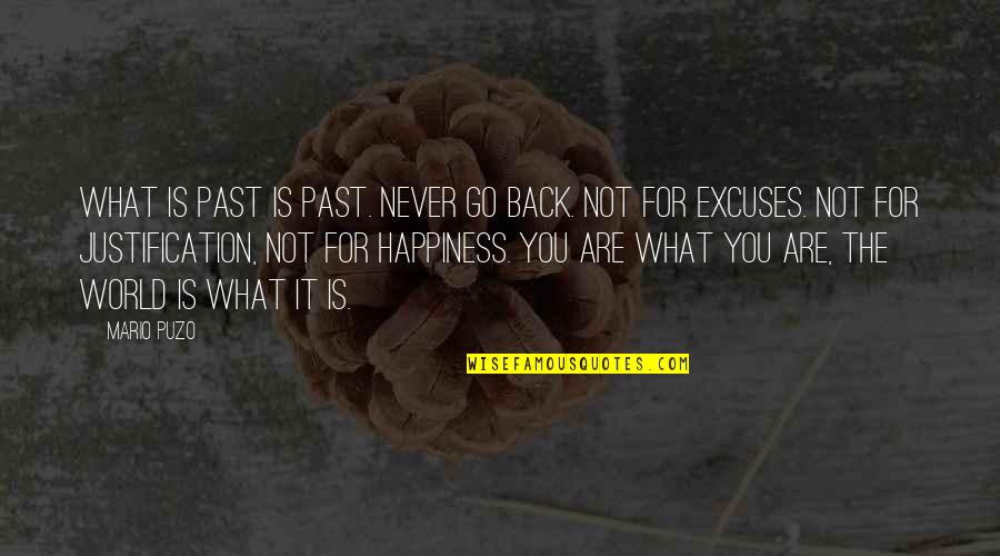 Ron Clark Motivational Quotes By Mario Puzo: What is past is past. never go back.