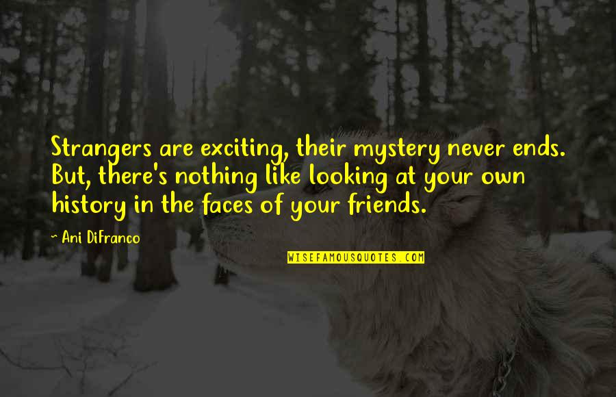 Ron Dayne Quotes By Ani DiFranco: Strangers are exciting, their mystery never ends. But,