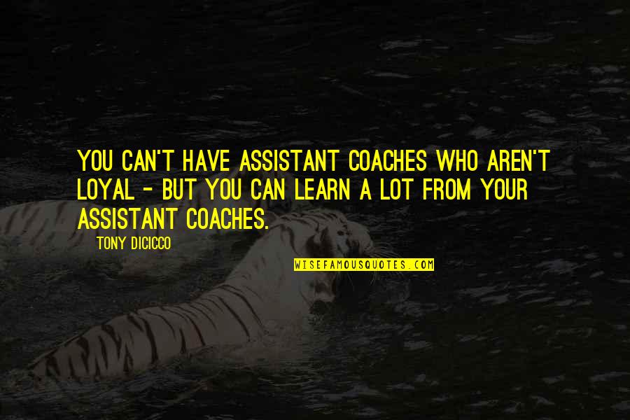 Ron Henley Love Quotes By Tony DiCicco: You can't have assistant coaches who aren't loyal