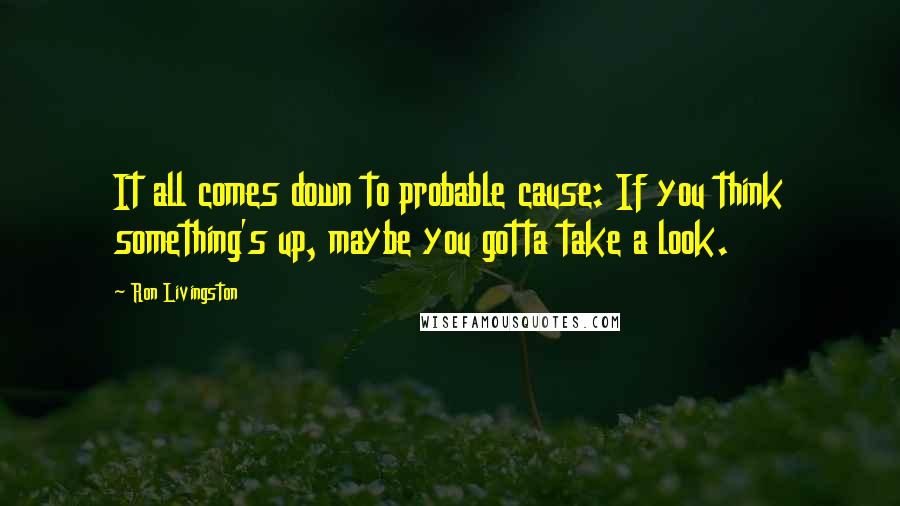 Ron Livingston quotes: It all comes down to probable cause: If you think something's up, maybe you gotta take a look.