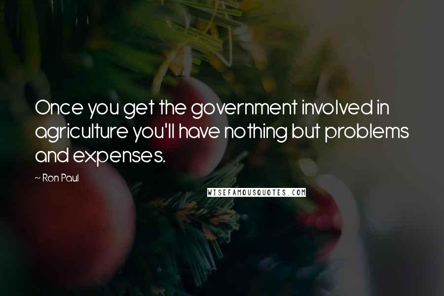 Ron Paul quotes: Once you get the government involved in agriculture you'll have nothing but problems and expenses.
