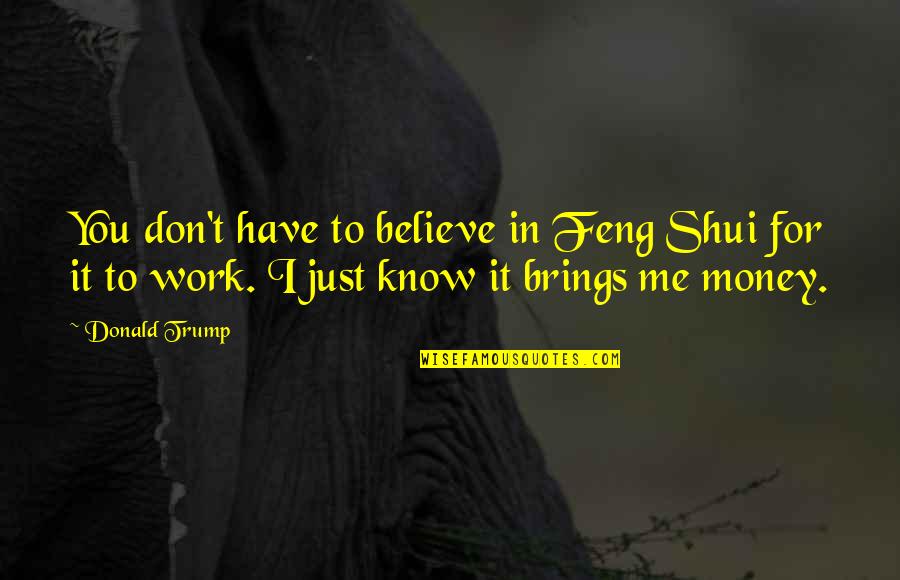 Ron Rivera Quotes By Donald Trump: You don't have to believe in Feng Shui Ron Rivera Quotes By Donald Trump: You don't have to believe in Feng Shui