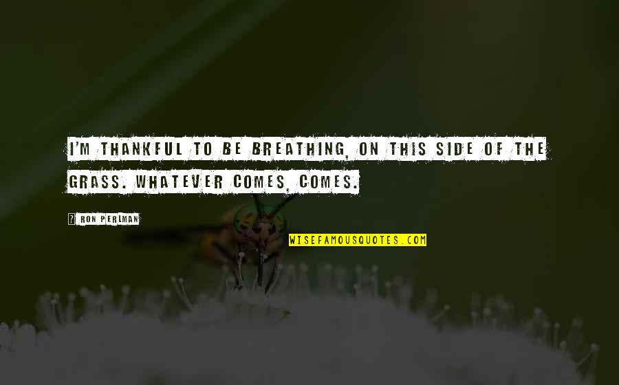 Ron Ron Quotes By Ron Perlman: I'm thankful to be breathing, on this side