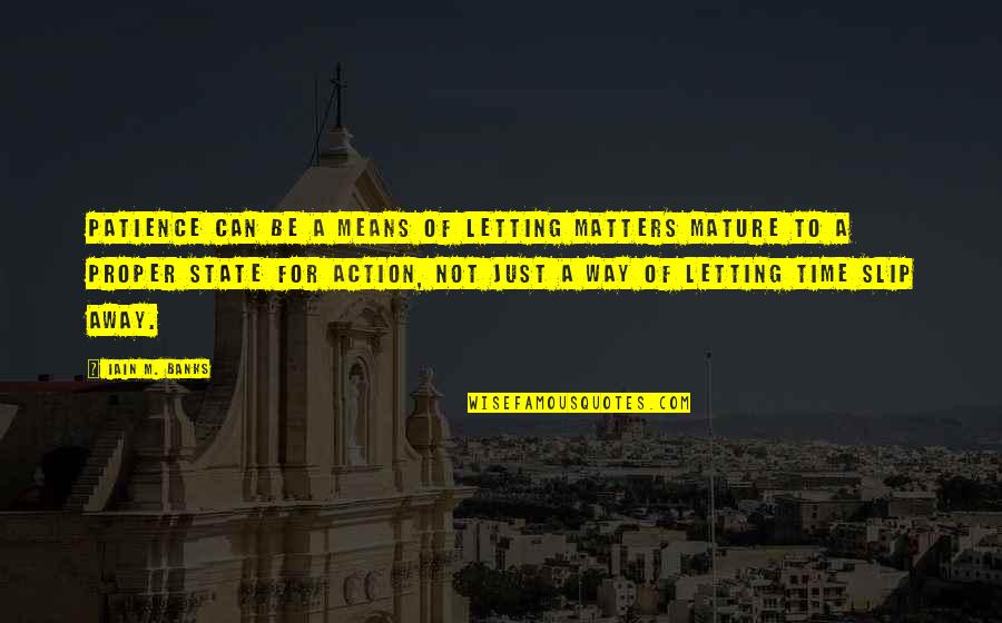 Ron Swanson Quotes By Iain M. Banks: Patience can be a means of letting matters Ron Swanson Quotes By Iain M. Banks: Patience can be a means of letting matters