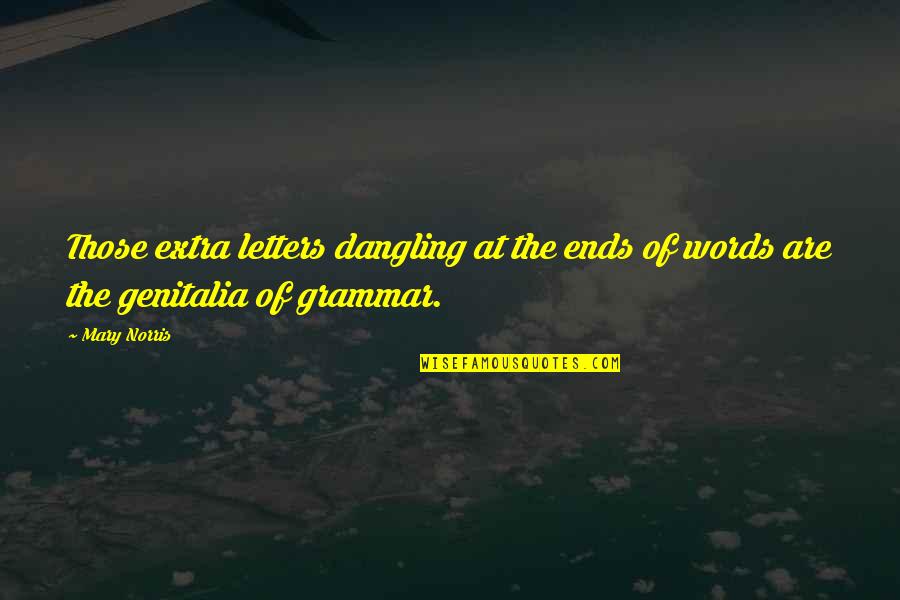 Ron Swanson Tammy 1 Quotes By Mary Norris: Those extra letters dangling at the ends of