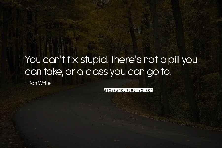 Ron White quotes: You can't fix stupid. There's not a pill you can take, or a class you can go to.