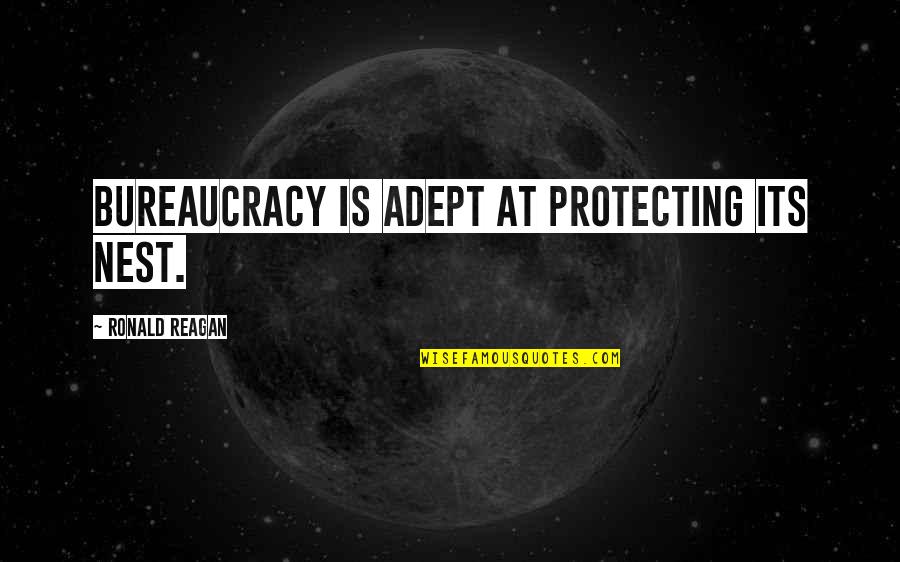 Ronald Reagan Bureaucracy Quotes By Ronald Reagan: Bureaucracy is adept at protecting its nest. Ronald Reagan Bureaucracy Quotes By Ronald Reagan: Bureaucracy is adept at protecting its nest.
