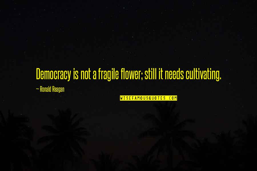 Ronald Reagan Government Quotes By Ronald Reagan: Democracy is not a fragile flower; still it Ronald Reagan Government Quotes By Ronald Reagan: Democracy is not a fragile flower; still it