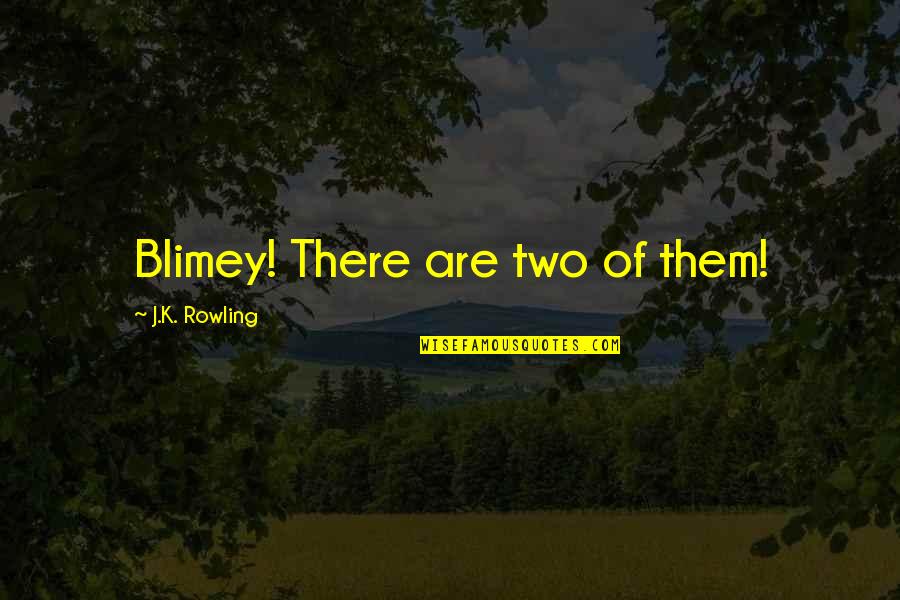 Ronald Weasley Quotes By J.K. Rowling: Blimey! There are two of them!