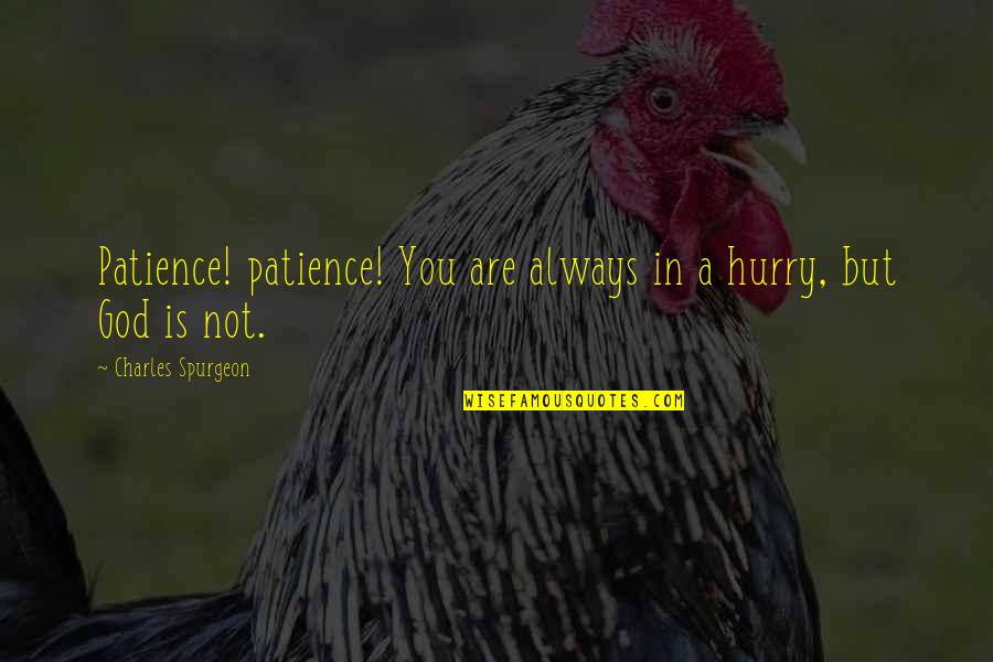 Ronaldinho Gaucho Quotes By Charles Spurgeon: Patience! patience! You are always in a hurry, Ronaldinho Gaucho Quotes By Charles Spurgeon: Patience! patience! You are always in a hurry,