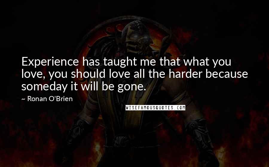 Ronan O'Brien quotes: Experience has taught me that what you love, you should love all the harder because someday it will be gone.