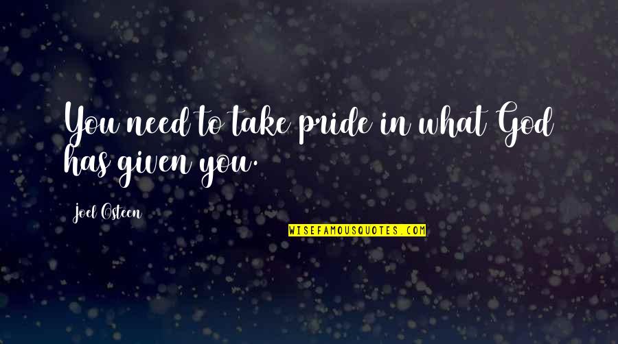 Roncone Vista Quotes By Joel Osteen: You need to take pride in what God