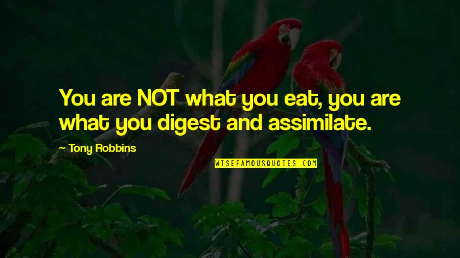 Rondele Quotes By Tony Robbins: You are NOT what you eat, you are