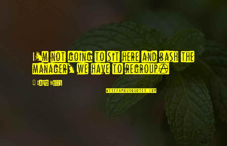 Rooba Hunger Games Quotes By David Wells: I'm not going to sit here and bash