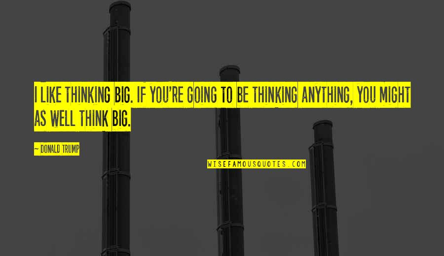 Rooba Hunger Games Quotes By Donald Trump: I like thinking big. If you're going to Rooba Hunger Games Quotes By Donald Trump: I like thinking big. If you're going to