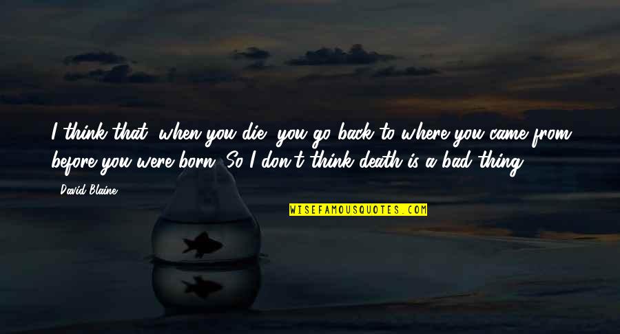 Roods 2 Quotes By David Blaine: I think that, when you die, you go