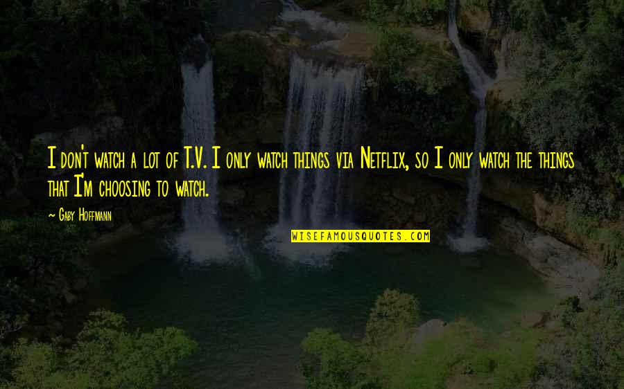 Roomed In Quotes By Gaby Hoffmann: I don't watch a lot of T.V. I Roomed In Quotes By Gaby Hoffmann: I don't watch a lot of T.V. I