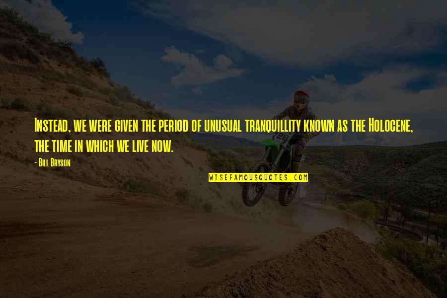 Roommates Decals Quotes By Bill Bryson: Instead, we were given the period of unusual