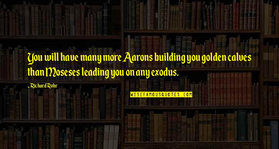 Roomors Quotes By Richard Rohr: You will have many more Aarons building you