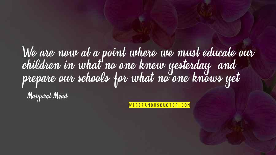 Roosevelt Big Stick Quotes By Margaret Mead: We are now at a point where we