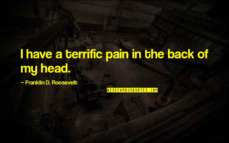 Roosevelt Quotes By Franklin D. Roosevelt: I have a terrific pain in the back