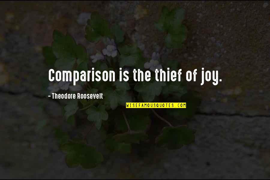 Roosevelt Theodore Quotes By Theodore Roosevelt: Comparison is the thief of joy.