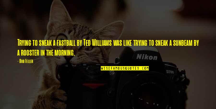 Rooster Morning Quotes By Bob Feller: Trying to sneak a fastball by Ted Williams