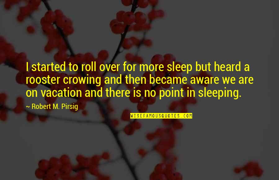 Rooster Quotes By Robert M. Pirsig: I started to roll over for more sleep